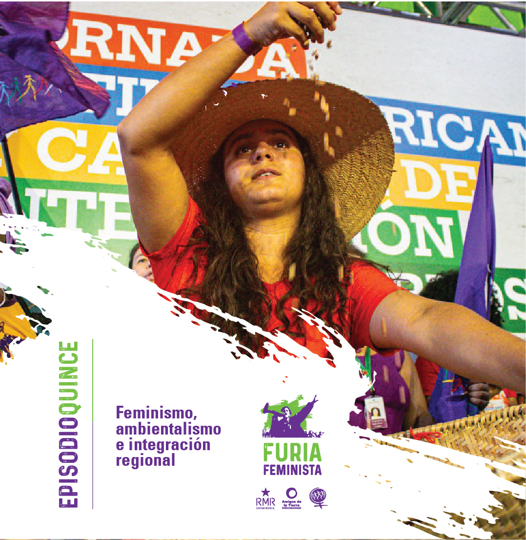 Furia Feminista: Feminismo, ambientalismo e integración regional