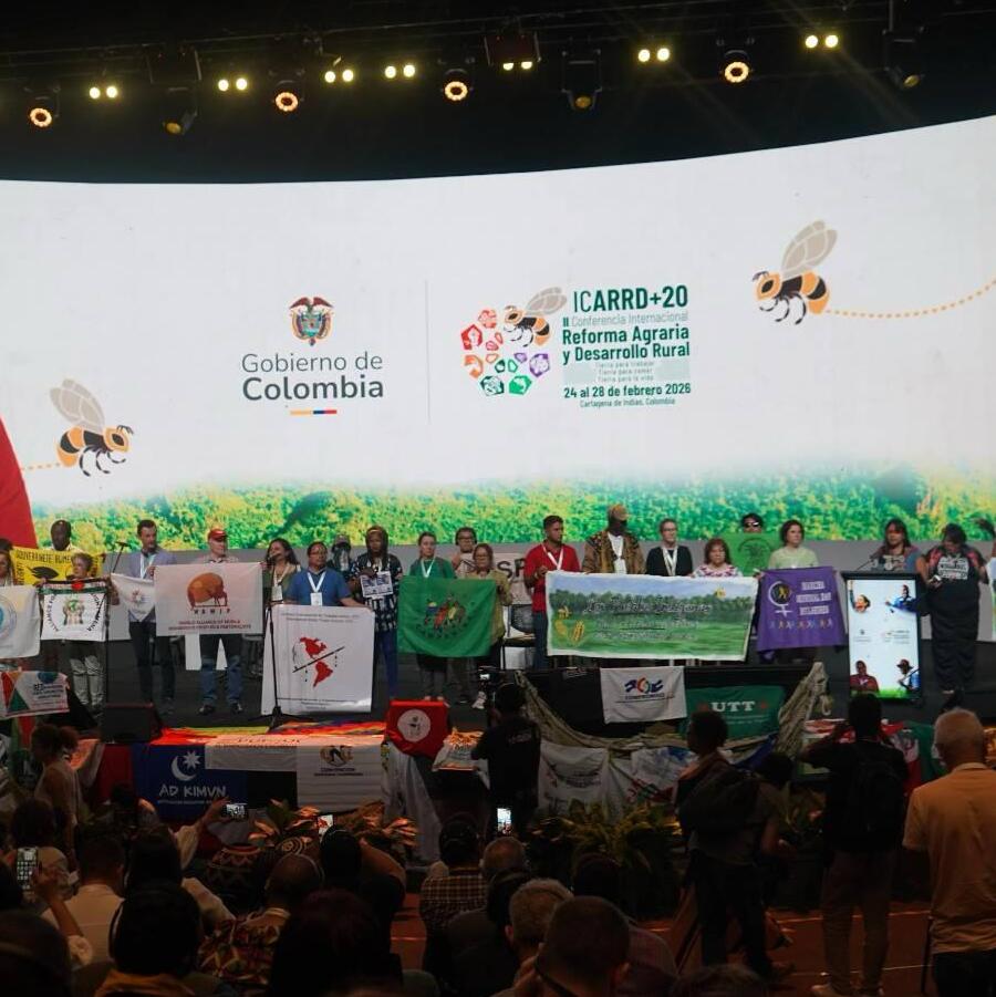 Foto: Equipo de comunicaciones del CIP