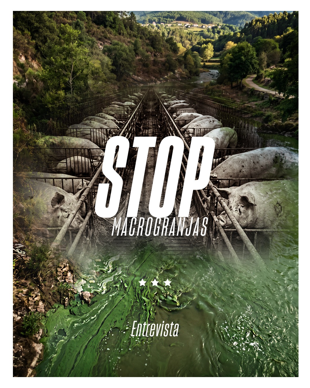“Probamos que la actividad ganadera industrial vulnera derechos fundamentales”